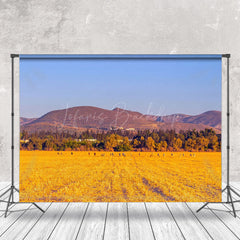 Lofaris Wheat Field After Harvest With Blue Sky Backdrop