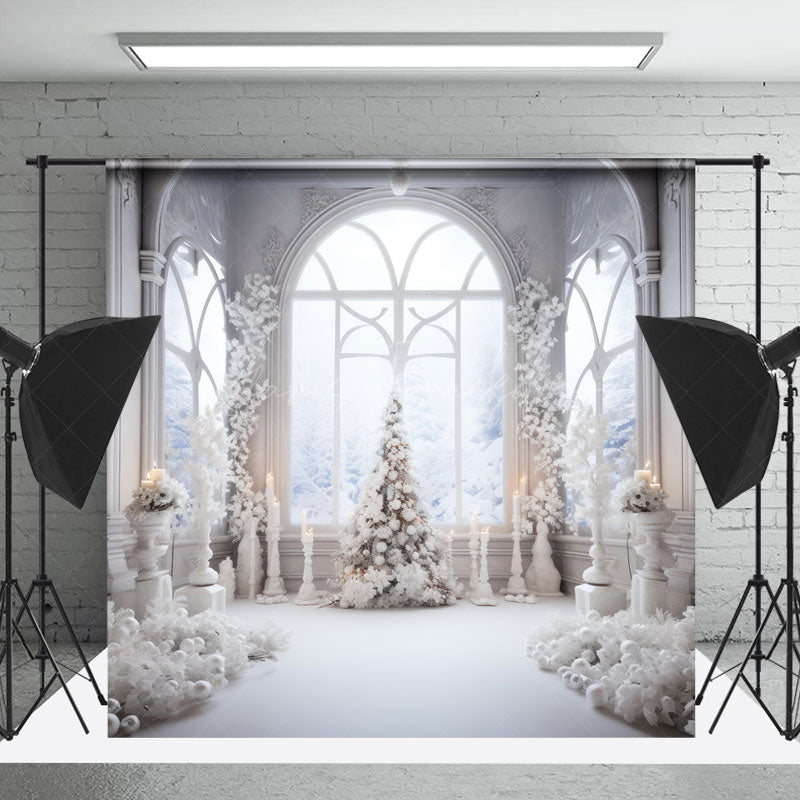 Lofaris White Elegant Window Winter Christmas Photo Backdrop