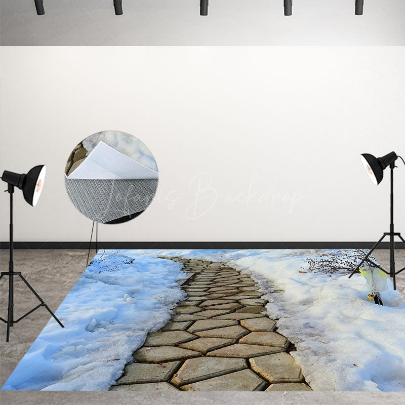 Lofaris Winter Garden Stone Path Snowy Scenery Floor Mat