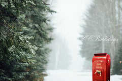 Lofaris Winter Snowy forest Santa Mailbox Photography backdrop