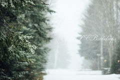 Lofaris Winter Snowy forest Santa Mailbox Photography backdrop