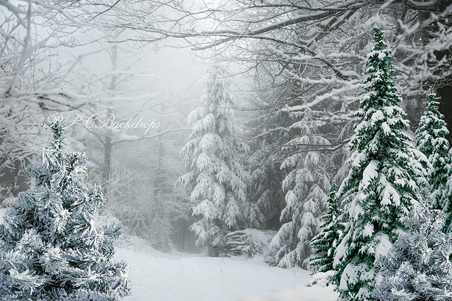 Lofaris Winter Wonderland Fir Tree Backdrop For Portrait