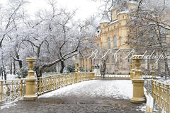 Lofaris Winter Wonderland Snow Nature Chirstmas Backdrop