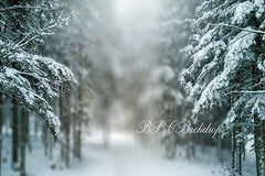 Lofaris Winter Wonderland Snowy Trees Holiday Portrait Backdrop