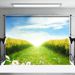 Lofaris Yellow Floral Field Daisy Sunny Sky Spring Backdrop