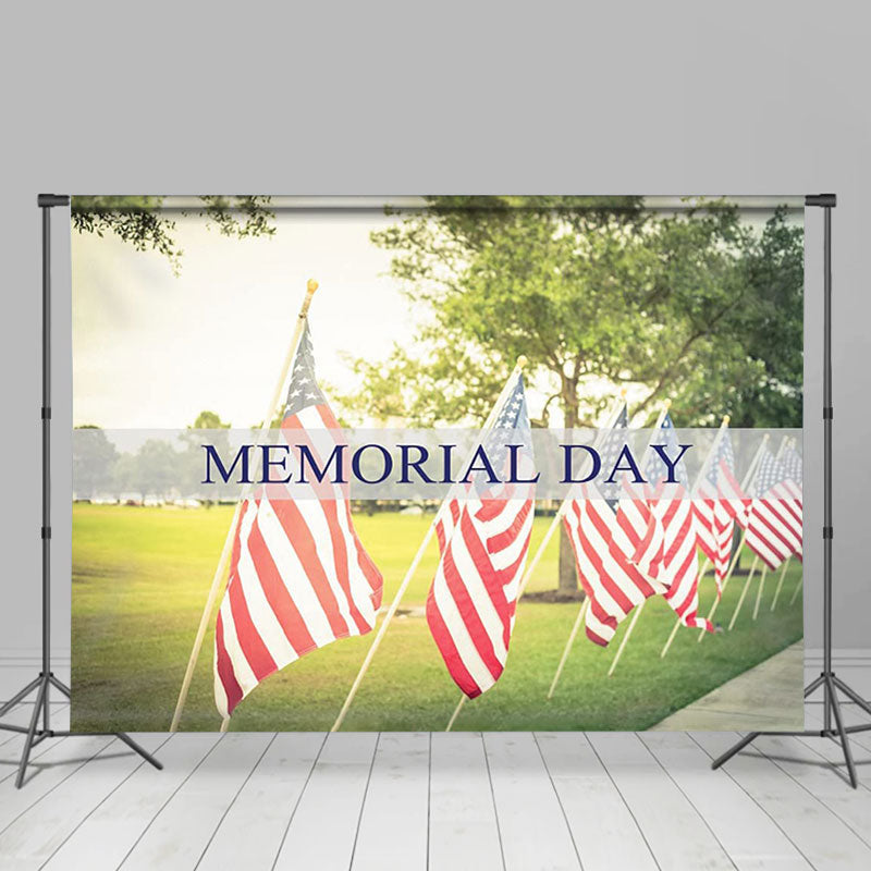 Lofaris American Flag Stripes Green Lawn Memorial Day Backdrop