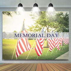 Lofaris American Flag Stripes Green Lawn Memorial Day Backdrop