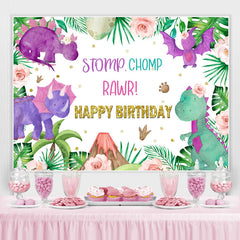 Lofaris Cute Dinosaur Stomp Chomp Rawr Happy Birthday Backdrop