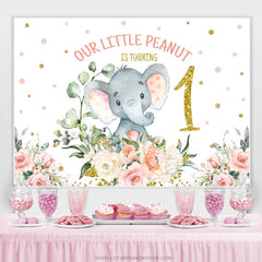 Lofaris Litter Peanut Is Turning One Birthday Backdrop