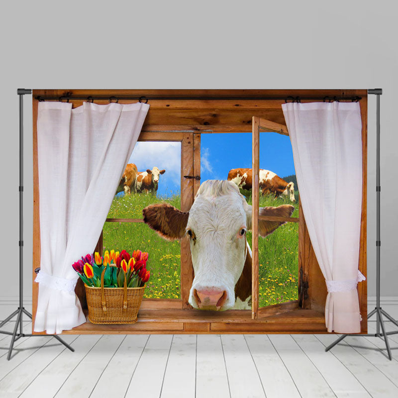 Lofaris Moo Come In Window Sunny Spring Field Backdrop