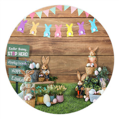 Lofaris Peter Rabbit And Floral Eggs Round Happy Easter Backdrop