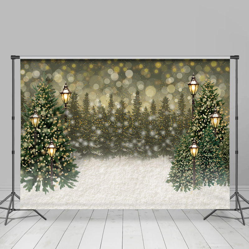 Simple Lighting Bokeh Snowy Happy Holiday Backdrop