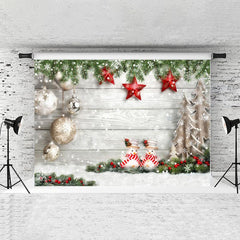 Lofaris Snowman And Gold Ball With Grey Wood Chrismas Backdrop