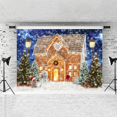 Lofaris Winter Night Sky And Warm House Backdrop For Chrismas